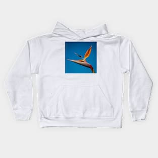 Bird-of-Paradise (Strelitzia) Kids Hoodie